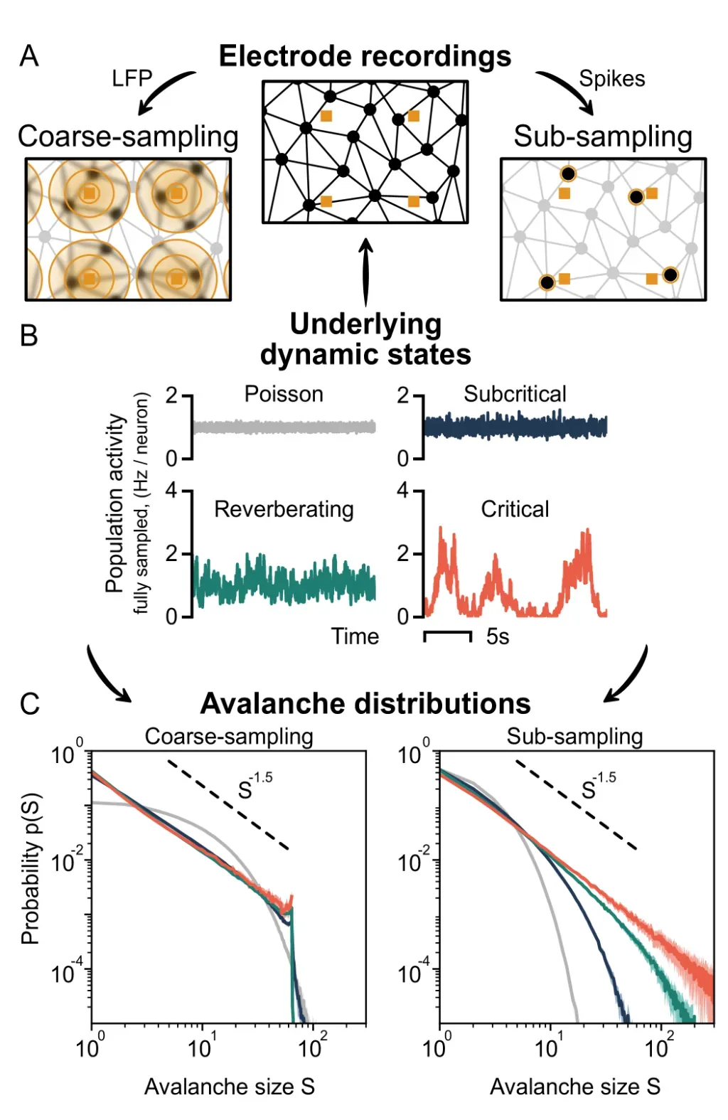 coarse-sampling